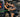 Creative training applications using commercial power bands in modern gym facilities