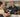 Virtual reality rowing setup in a commercial gym training area