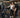 Luxury gym equipment details including strength machines cardio flooring and organized training space