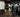 Gym chain operator reviewing commercial fitness machines before reordering equipment