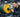 Calibrated vs non-calibrated weight plates comparison in a gym setting